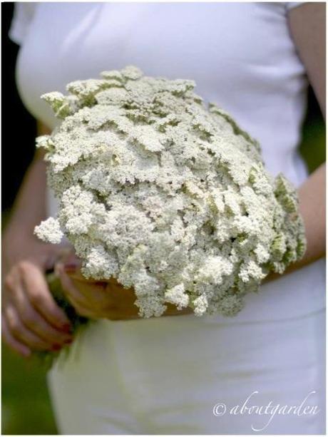 white flowers for… cena in bianco Torino 2012