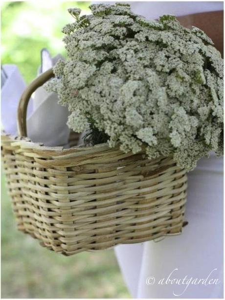 white flowers for… cena in bianco Torino 2012