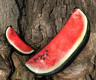 Watermelon inspirations