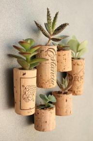 FOR THE HOME: WHAT AN IDEA! #1