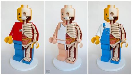 Anatomia di un Lego