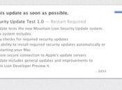 Mountain Lion effettuerà aggiornamenti sicurezza automatico