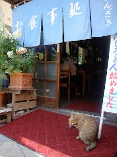 Nagasaki- la città dei gatti e delle ortensie