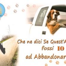 Operazione “Cani in vacanza 2012″