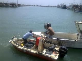 PORTO DI GIULIANOVA: OLTRE 50 SACCHI DI VONGOLE SOTTO SEQUESTRO