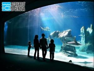 Groupalia: Acquario di Genova 40% di sconto!