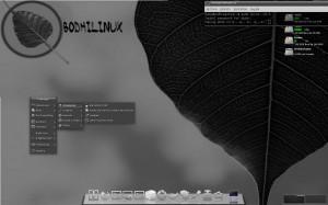 Rilasciato Bodhi Linux 2.0 alpha