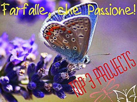 Top 3 Projects “Farfalle, che Passione!”  +  Best Creative Blog  #12  Winner