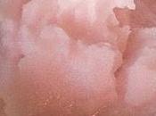 Sorbetto alla Lavada combattere caldo