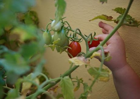 Dall'orto in balcone