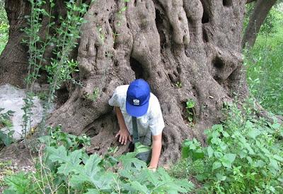Mo te lo spiego a papà cos'è un campo scuola estivo