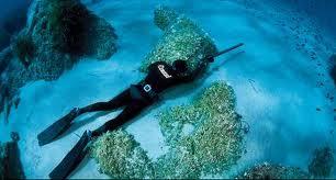 FederFauna per la pesca subacquea