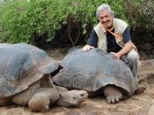 Addio vecchio George
