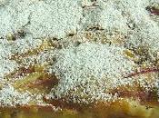 Torta pesche amaretti