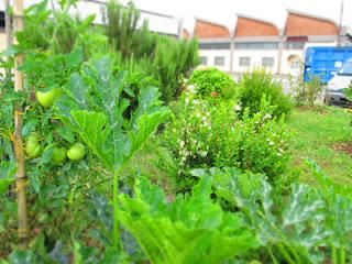 i giardini dei mestieri_il carrozziere