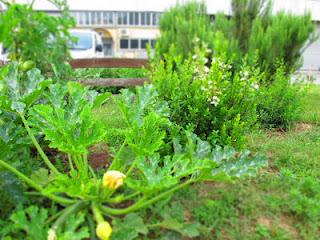 i giardini dei mestieri_il carrozziere