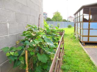 i giardini dei mestieri_il carrozziere