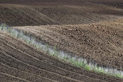 La fotografia ai tempi della crisi