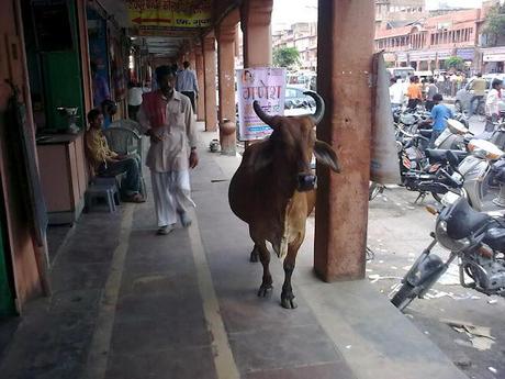 ...chiuso per...vacanza in Nepal !!...