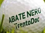 Interpretazione autentica cercasi