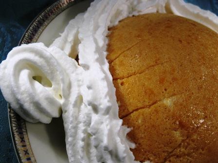 Torta gelata all'abicocca