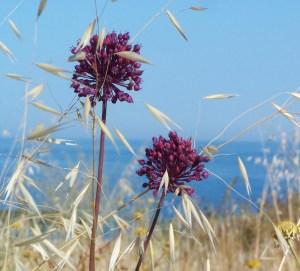 Sulla spiaggia