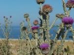 Sulla spiaggia