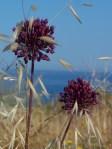 Sulla spiaggia