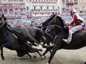 Domani Palio Siena 2012 Cosa dobbiamo aspettarci?