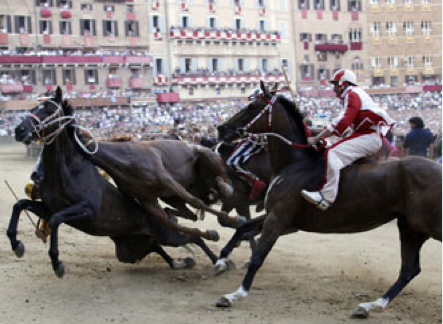 Domani il Palio di Siena 2012 Cosa dobbiamo aspettarci?