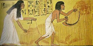 Risorse naturali e agricoltura dell'Antico Egitto