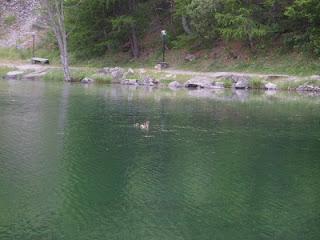 Gita in montagna, stupid things, bellezza e meraviglie.