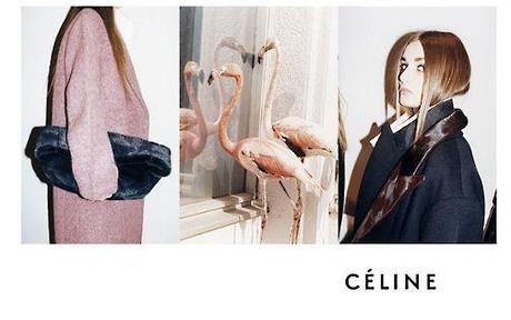 Céline FW 2012.13 AD Campaign