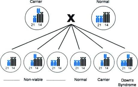 Esercizi di genetica: sindrome di Down