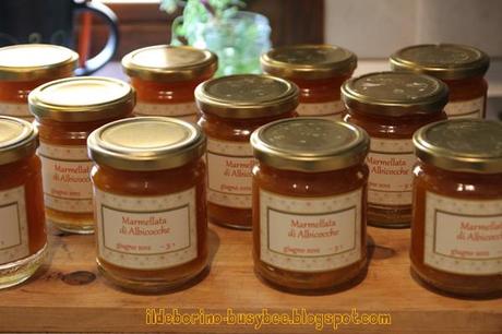 Easy Peasy - Marmellata di Albicocche & Crostatine