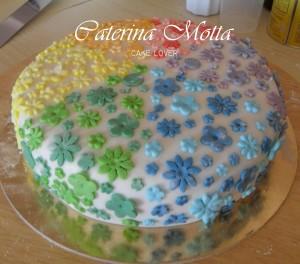 Una Torta Multicolor