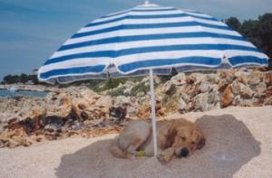 In Sardegna con Fido Ad Olbia nuova dog beach