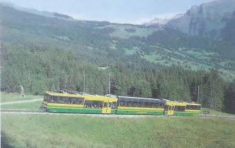 Il treno turistico della Foresta Umbra