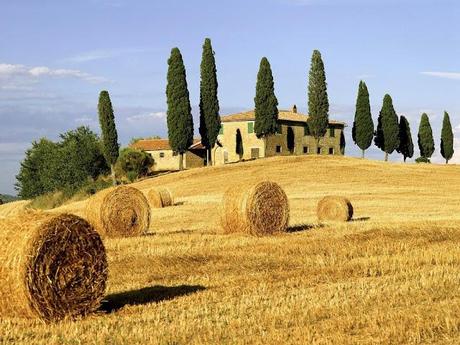 VIAGGI / UNDER THE TUSCAN SUN