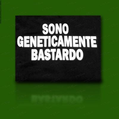 BALOTELLI, LA FICO E I FIGLI ILLEGITTIMI -  Prima dell’avvento della genetica il mondo era pieno di figli illegittimi contrabbandati