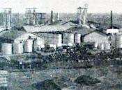 1954 cinquant'anni della "Cledca"