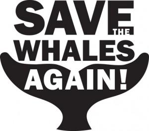 Summit a Panama, il Giappone blocca la creazione della riserva per le balene nell’Antartico