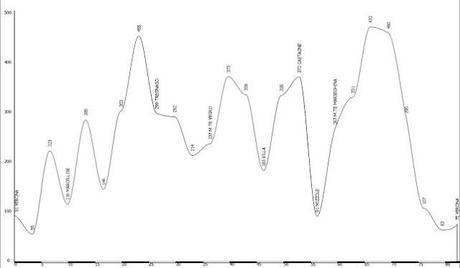 Overdose MTB ovvero...83 km x 2000 mt