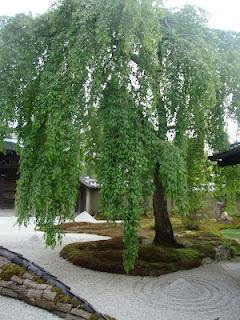 Il Kindoju Temple e le case da tè di Sen-no Rikyu