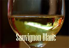 Il Sauvignon Blanc: ecco perché piace così tanto