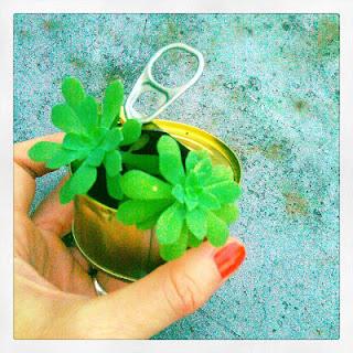 Mini sedum in scatola di tonno