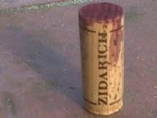 Terrano 2009 Beniamino Zidarich