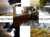 Fusilli Cappine mais Linguine grano saraceno pomodoro fatte casa