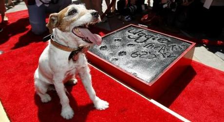 UGGIE, IL CAGNOLINO DI “THE ARTIST”,  LASCIA LA SUA IMPRONTA A HOLLYWOOD