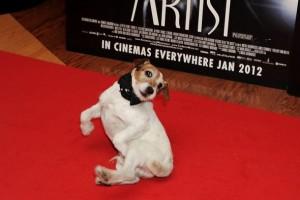 UGGIE, IL CAGNOLINO DI “THE ARTIST”,  LASCIA LA SUA IMPRONTA A HOLLYWOOD